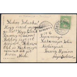 1907 Képeslap SZAKOLCZA-POZSONY vasúti mozgóposta bélyegzéssel / Postcard with railway postmark