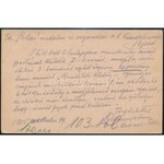 1915 Tábori posta levelezőlap / Field postcard M.kir. II/5 sz. népfölkelő erőd M. osztag Ldst. Befs. Arb. Abt. II...
