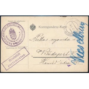 1916 Tábori posta levelezőlap / Field postcard M.KIR. XIII. SZ...