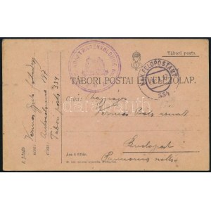 1917 Tábori posta levelezőlap / Field postcard K.u.k. Kraftwagenkolonne No. 197 + FP 334