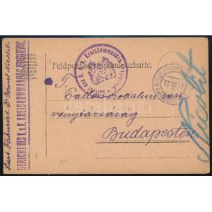 1917 Tábori posta levelezőlap / Field postcard Gericht des K.u.k. Kreiskommandos + EP KRAGUJEVAC...