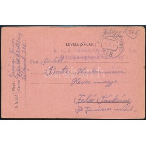 1917 Tábori posta levelezőlap / Field postcard K.u.k. Infanteriebataillon Nr. 2/60 + FP 368