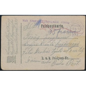 1918 Tábori posta levelezőlap / Field postcard KUK KRIEGSZUGHUNDE Abtlg + FP 495