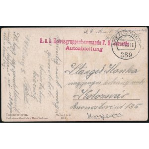1918 Tábori posta képeslap / Field postcard K.u.k. Heeresgruppenkommando F.M. Boroevin + FP 239...