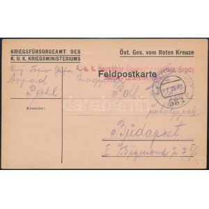 1918 Tábori posta levelezőlap / Field postcard K.u.k. Heimkehr-Übernahmesstation Brody Stabs-Unterabteilung + FP 583...