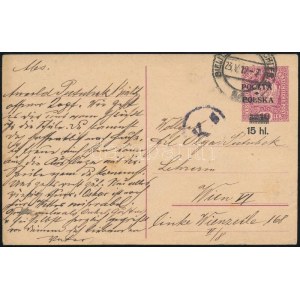 1919 Felülnyomott díjjegyes levelezőlap Bécsbe / Overprinted PS-card to Vienna