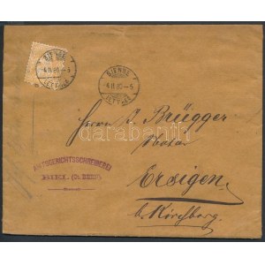 1880 Mi 24 levél / on cover BIENNE - Ersingen