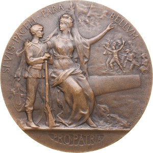 France Military Preparation Award Medal, 1911