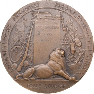 France Military Preparation Award Medal, 1911