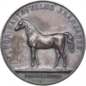 Sweden medal For the development of horse breeding