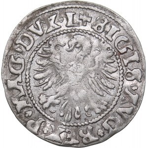 Lithuania 1/2 grosz 1546 - Sigismund II Augustus (1545-1572)