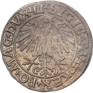 Lithuania 1/2 grosz 1550 - Sigismund II Augustus (1545-1572)