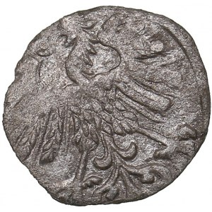 Lithuania Denar 1558 - Sigismund II Augustus (1545-1572)