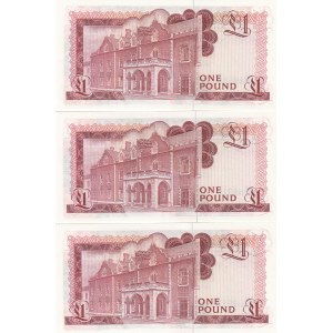 Gibraltar 1 pound 1979 (3 pcs)