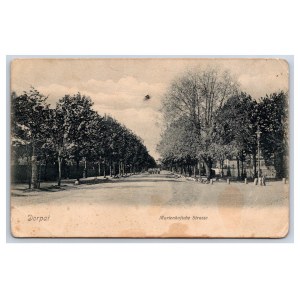 Postcard Estonia Dorpat (Tartu) Marienhofisce Strasse