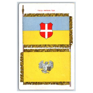 Postcard Estonia Defence league Harju district banner