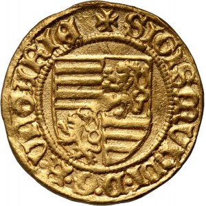 Węgry, Zygmunt Luksemburski 1387-1437, goldgulden bez daty, Nagyszeben