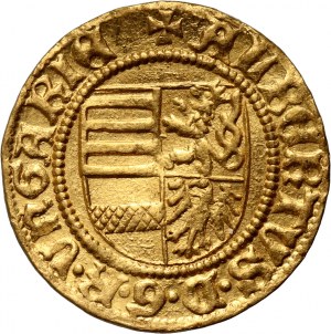 Węgry, Albrecht Habsburg 1437-1439, goldgulden bez daty, Kremnica