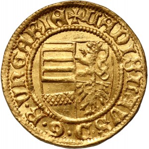 Węgry, Władysław V 1453-1457, goldgulden bez daty, Kremnica