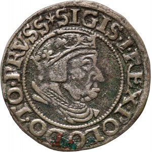 Zygmunt I Stary, grosz 1537, Gdańsk