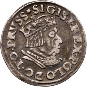 Zygmunt I Stary, trojak 1537, Gdańsk