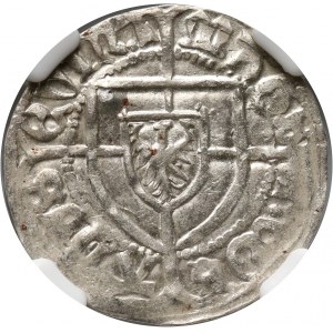 Zakon Krzyżacki, Konrad V von Erlichshausen 1441-1449, szeląg