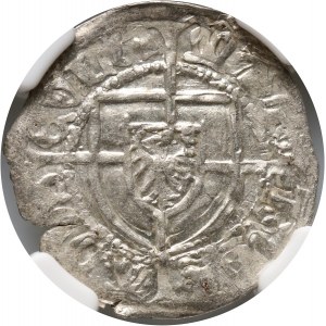 Zakon Krzyżacki, Konrad V von Erlichshausen 1441-1449, szeląg