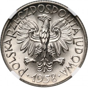 PRL, 1 złoty 1958, PRÓBA, nikiel, gołąbki