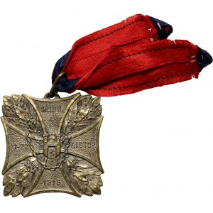 II RP, Odznaka pamiątkowa I ODC. 1-22 Listop., 1918, Odcinek Obrony Lwowa