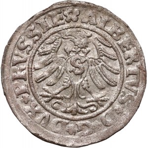 Prusy Książęce, Albrecht Hohenzollern, szeląg 1530, Królewiec