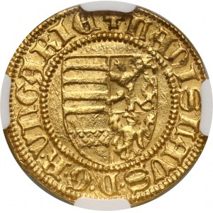 Hungary, Ladislaus V 1453-1457, Goldgulden ND, Kremnitz