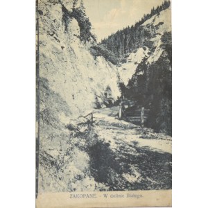 Zakopane - W dolinie Białego, ca. 1920, Postkarte mit dem Autogramm von Stefan Sulima Popiel