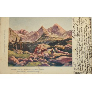 Tatry: Dolina Stawów Gąsienicowych. Hohe Tatra: Gąsienicowa-Thal, 1900