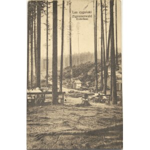 Bielsko-Biała - Zigeunerwald. Zigeunerwald. Erzbrünnl, 1923