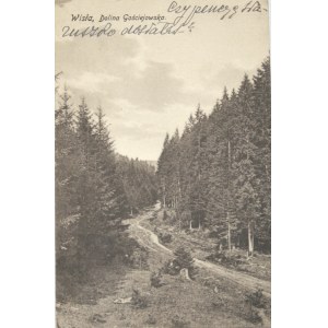 Wisła, Dolina Gościejowska, 1914