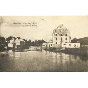 Brzeżany - zbořený mlýn, asi 1915