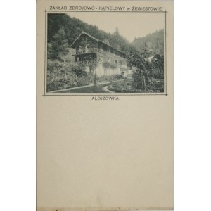Żegiestów - Alojzówka, przed 1905