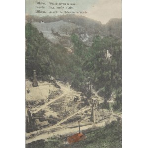Bitków - Pohled na šachtu v lese, 1914