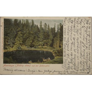 Mokry Staw - Babia Góra, 1907