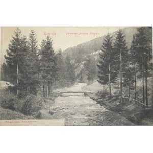 Zawoja - Wełcza - Dolina Filipa, ok. 1910