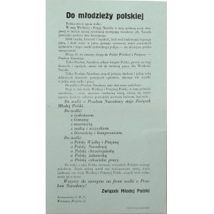 Do młodzieży polskiej. Polska stoi w ogniu walki. ok. 1937