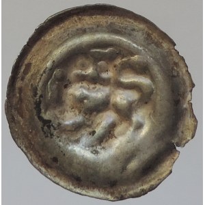Přemysl Otakar II. 1253-1278, brakteát Cach 832
