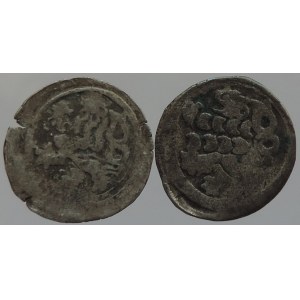 Jiří z Podběrad 1458-1471, peníz se lvem jednostranný