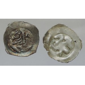 Přemysl Otakar II. 1260-1276, fenik CNA B 168, 173