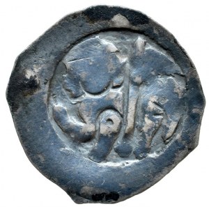 Přemysl Otakar II. 1260-1276, fenik CNA B 172