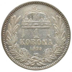 1 kor. 1895 KB