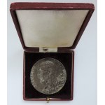 Španiel O., AR medaile TGM úmrtní 60mm, jednostranný odražek v originální etui, 74,549g, bez puncu, R