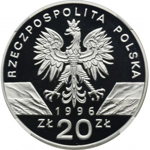 20 złotych 1996 Jeż - NGC PF69 ULTRA CAMEO