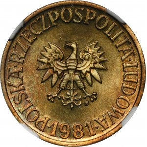 5 złotych 1981 - NGC PF65 - LUSTRZANKA