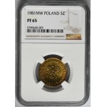 5 złotych 1981 - NGC PF65 - LUSTRZANKA